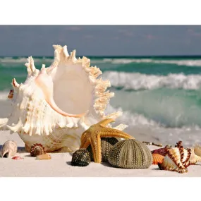 5D DIY Diamond Painting "Shells By The Sea" -Full Square Diamond