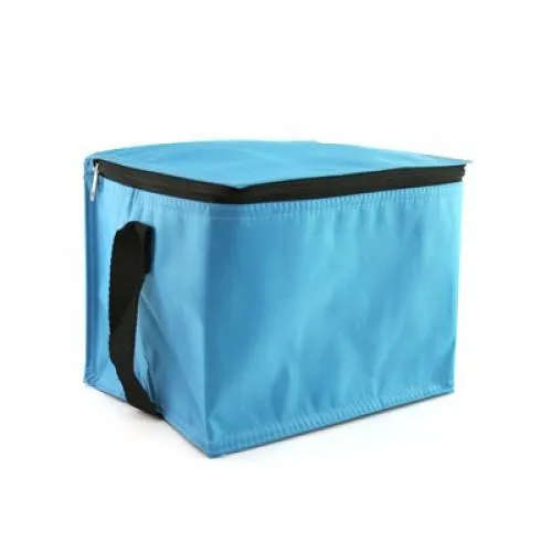 Insulated Cooler Bag