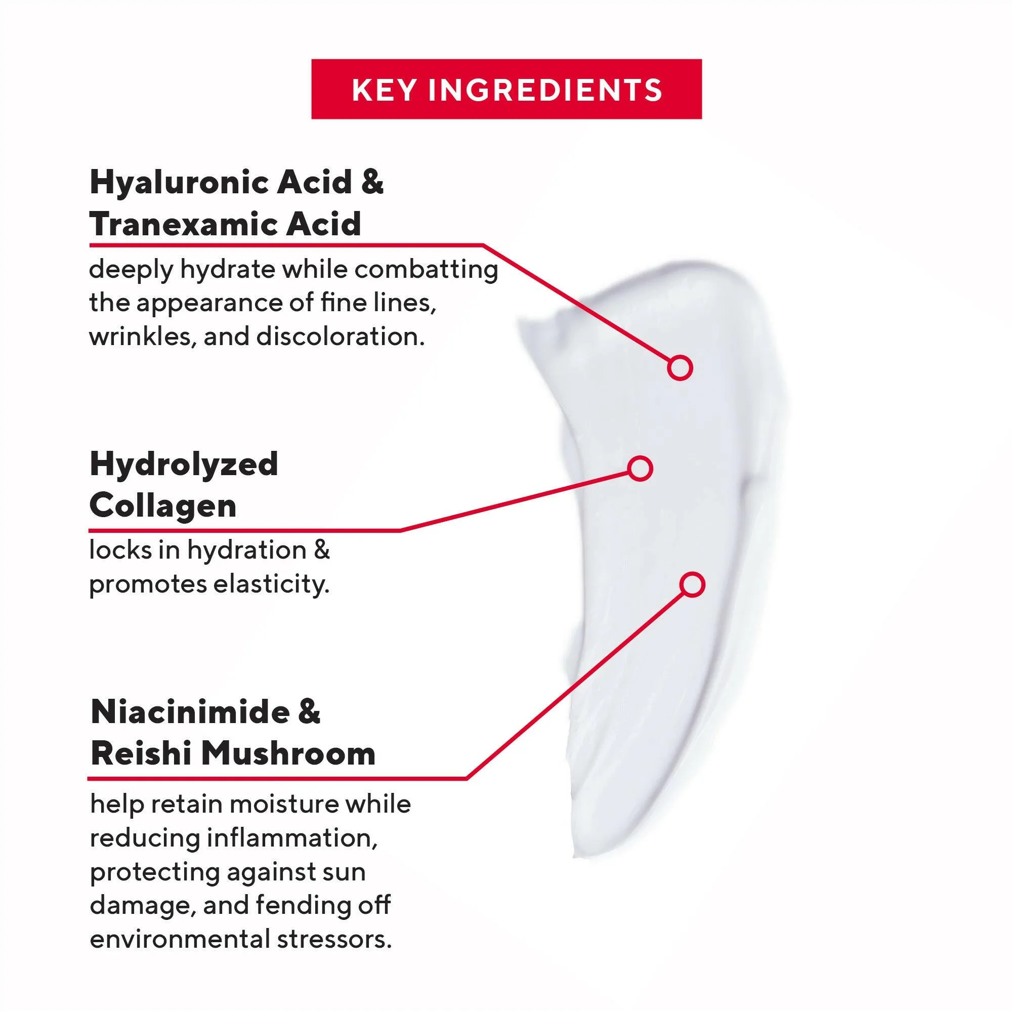 Intense Formula Day to Night Moisturizer