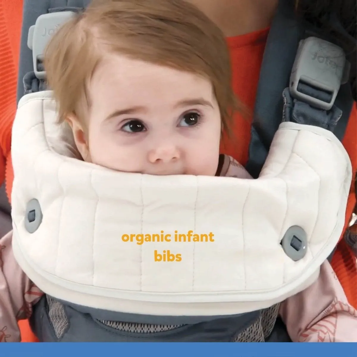 Joie Savvy Baby Carrier - Marina