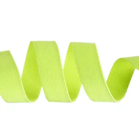 Tula Pink Neon Webbing - 1" Moonbeam/Neon